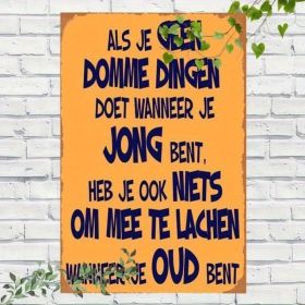 CIFbuy 1pc Retro Dutch Saying Metal Sign Funny Orange Wall Art With Blue Lettering Vintage Home Decor For Cafe Pub Garage 12x8 Inch TikTok, TikTo (Option: defaulttitle)