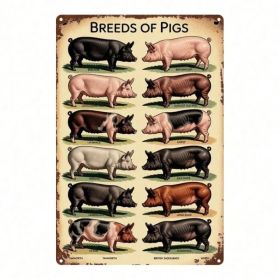 CIFbuy Vintage Pig Breeds Metal Sign 8x12 Inch Retro Distressed Wall Art 2D Flat Metal Poster For Home Garage Bar Cafe Restaurant Decor TikTok, T (Option: defaulttitle)
