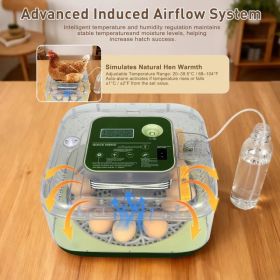 12-Egg Incubator for Beginners, Auto Egg Turn, Steady Self-Regulating Humidity & Consistent Temperature Control for Hatching Chicken, Goose, Duck (Option: New 12 Egg-Green)