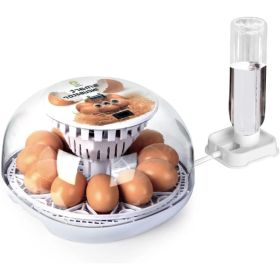 12-Egg Incubator for Beginners, Auto Egg Turn, Steady Self-Regulating Humidity & Consistent Temperature Control for Hatching Chicken, Goose, Duck (Option: 12 egg)