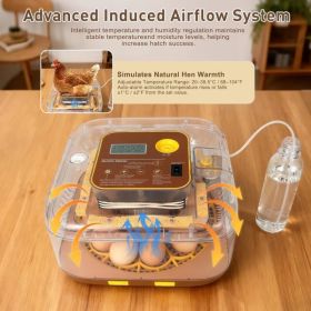 12-Egg Incubator for Beginners, Auto Egg Turn, Steady Self-Regulating Humidity & Consistent Temperature Control for Hatching Chicken, Goose, Duck (Option: New 12 Egg-Brown)