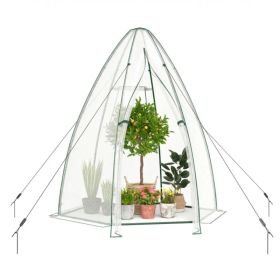 Hexagonal Mini Greenhouse with Zipper Door & Roll-Up Window, PE Cover Outdoor Plant House - White (Option: default title)
