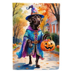 Chocolate Labrador Retriever Halloween Trick or Treat House Flag Large Porch Sleeve Pole Decorative Outside Yard Banner Artwork Wall Hanging, Pol (Option: Default)
